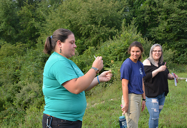 Vickie Benko examines butterfly weed, a species of milkweed, while Aly Munger and Sam Buchanan look on.