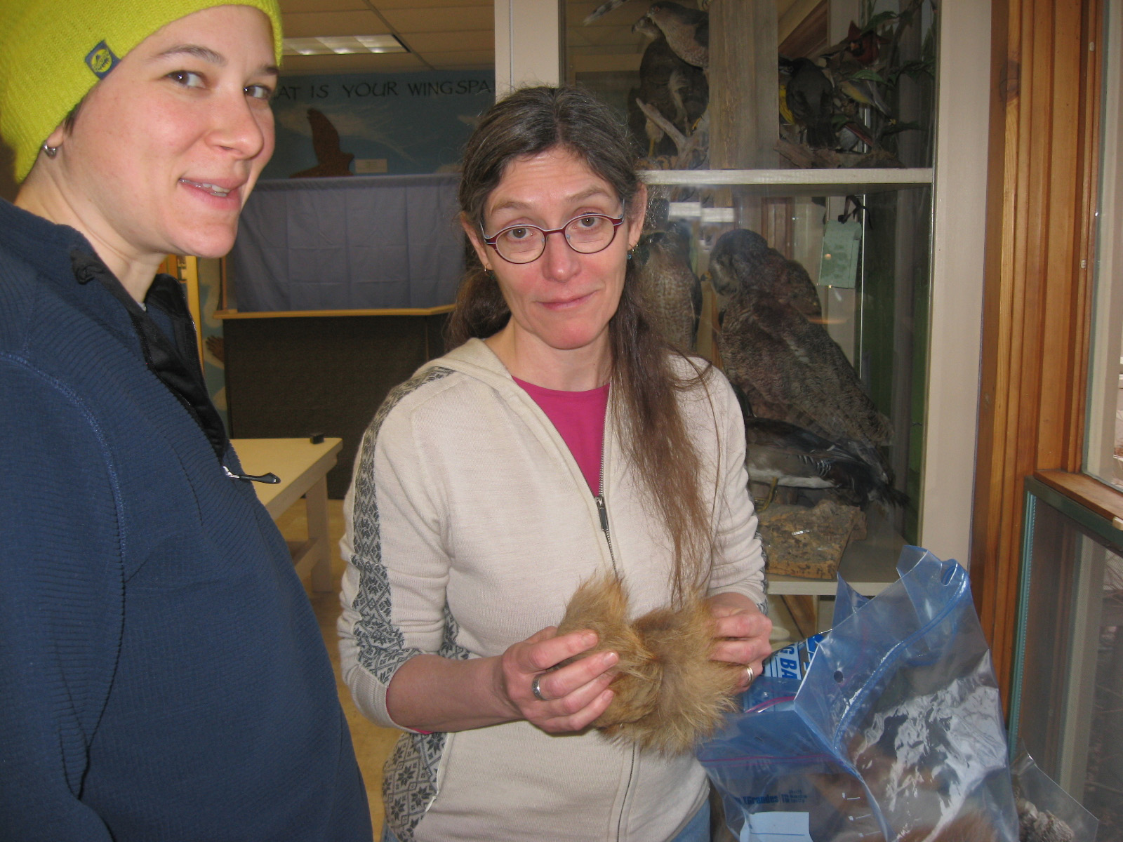 Environmental Educators Jane Litwiller and Carol Good-Elliott examine a fox fur to make sure it is pest-free.