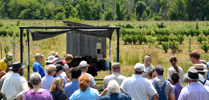 Merry Lea’s Woody Perennial Polyculture Adds New Twist to Pasture Walk