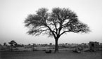 African landscape