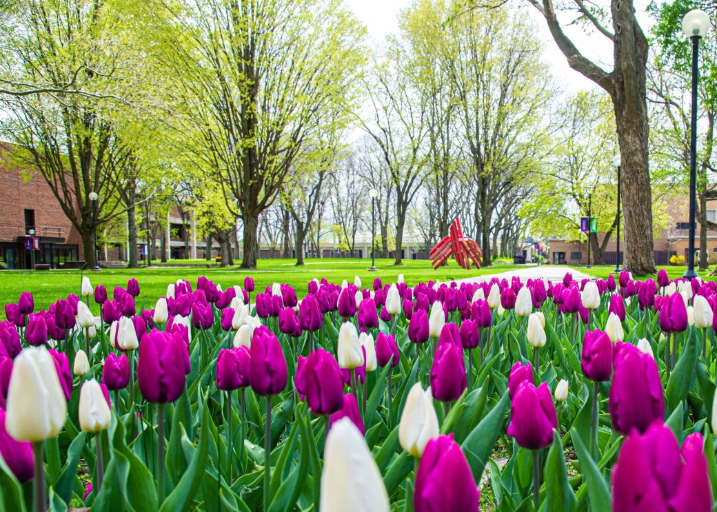 GC Campus spring season