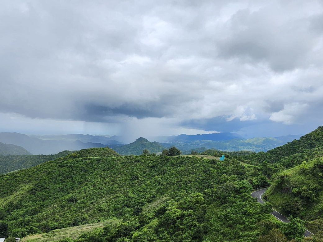 green rainforest landscape