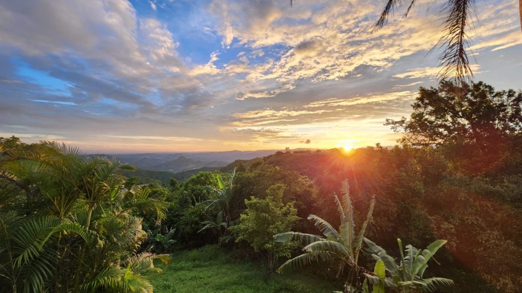 Sunset landscape over forest