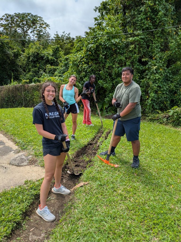 students working in a field