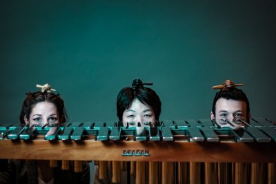 3D Percussion