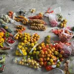 Fresh fruit and vegetable donations