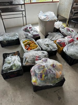 food in bags and crates