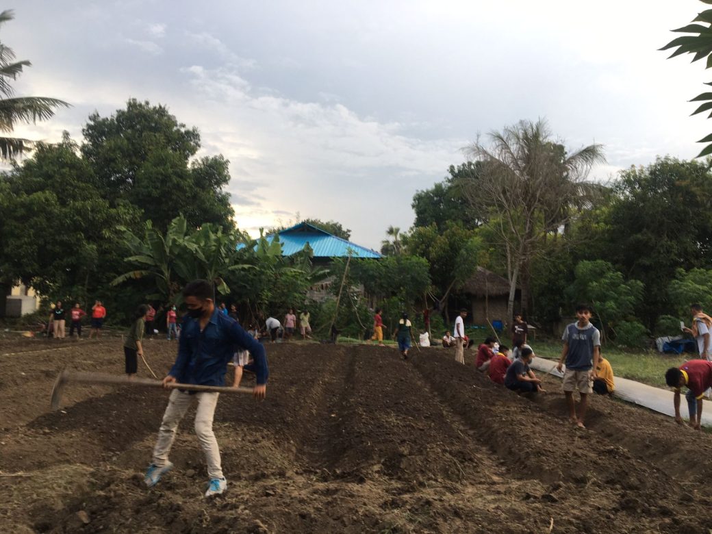 Group of people sewing crops in soil