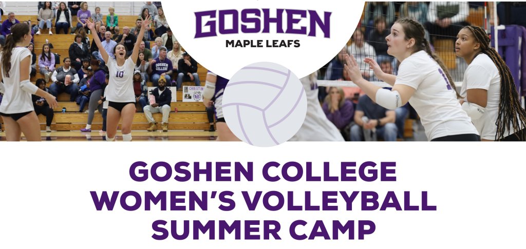Volleyball camp header