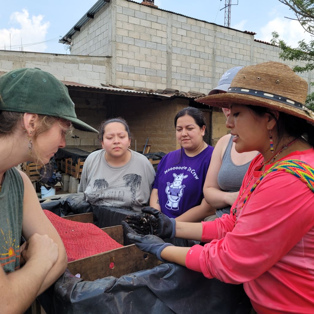 Five people standing around a wooden box, looking intently at a pile of dirt and worms in gloved hands.