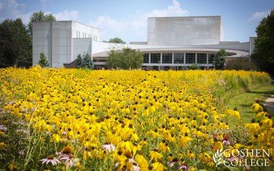 Wallpaper_Wildflowers_MusicCenter_1920x1200