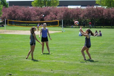 May term picnic and volleyball