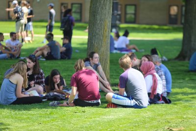 May term picnic and volleyball