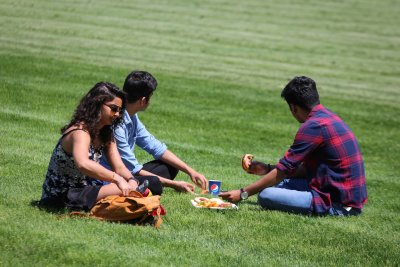 May term picnic and volleyball