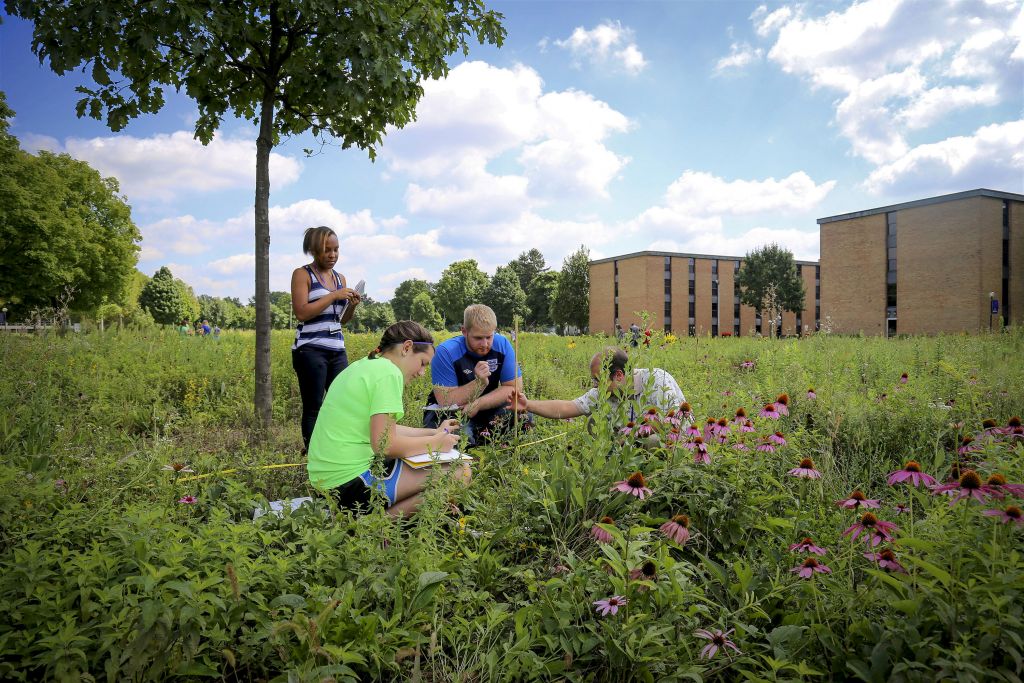 Students completing fieldwork in an ecology course at Goshen, a leader in sustainability