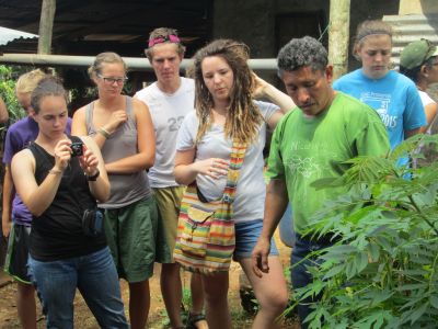 Students learn about medicinal plants on the Vicente Padilla coffee farm.