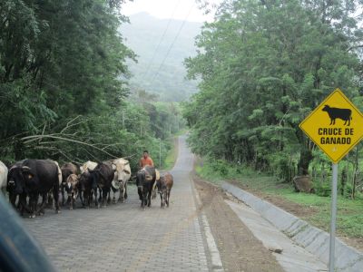 Near Santo Domingo