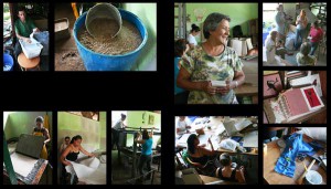Costa Rican business: EcoBambu