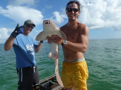 Student picking up small shark