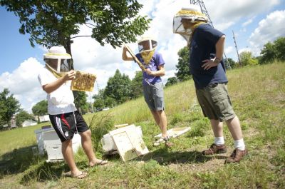 Bee Research