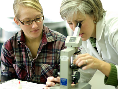 Dr. Jodi Saylor looks through microscope