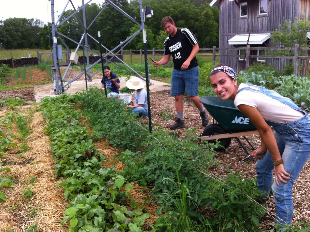 ASI students tending the Merry Lea sustainable farm.