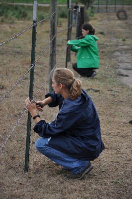 CVO fence mending