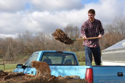 Compost & cat