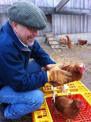 Dale releases chickens at Kesling barn pens