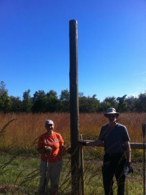 WPP pole erected