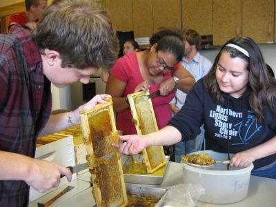 Harvesting honey from the Merry Lea beehives