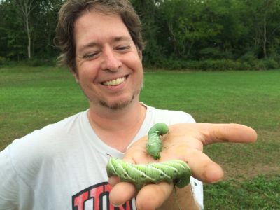 hornworms from garden at Merry Lea Sustainable Farm