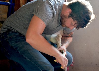 Stephan Powless trimming the hooves of a goat kid.