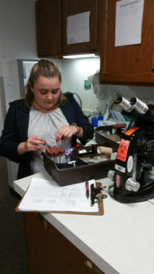 Student in a black jacket working with vials in