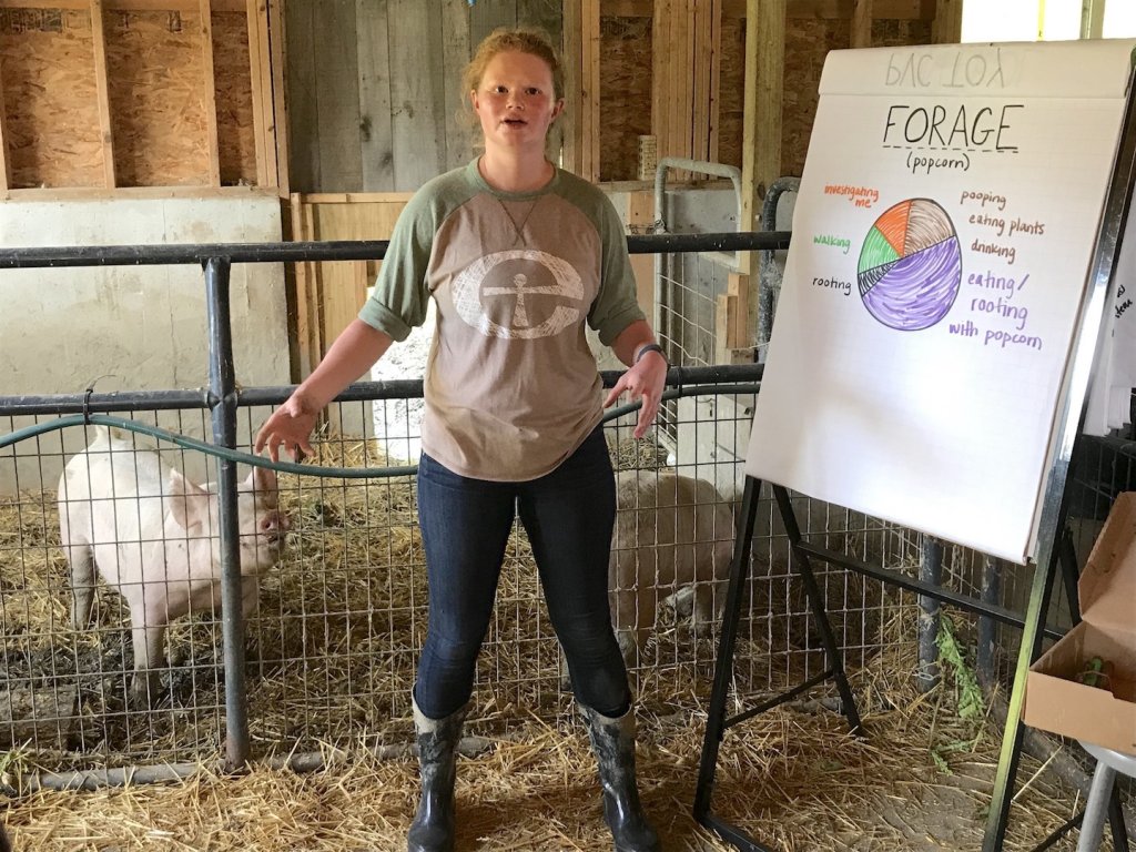 Woman in a gray and green Merry Lea shirt presenting next to two pigs