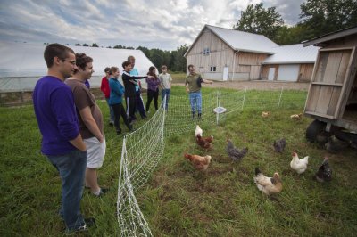 Students standing next to a white fence and chickens