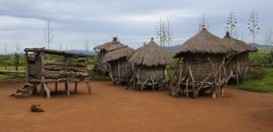 Finger millet stores.