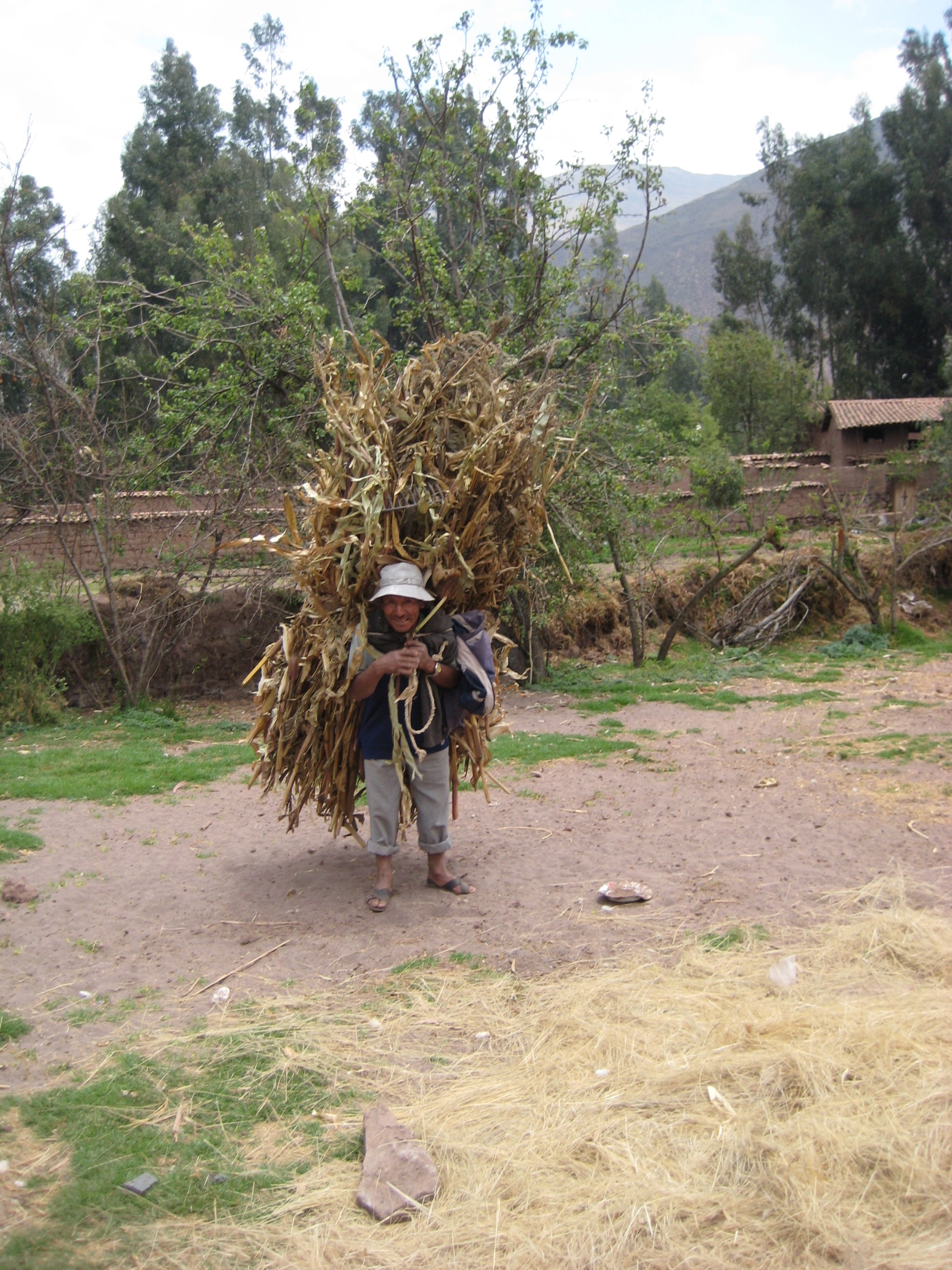 A friend brings reeds in to make adobe bricks