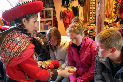 Students examine wool and dyes.