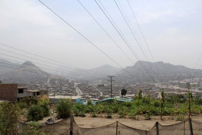 The "Machu Picchu" community garden in Villa María del Triunfo.