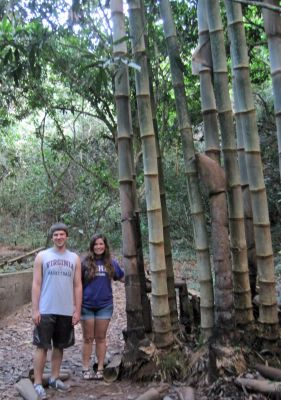 The path through the jungle is just behind the lodge where Maria and Caleb live.