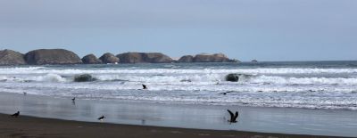 The beach, shore and Pacific Ocean as viewed from the Kawai retreat center.