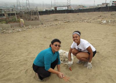 Asia and a local gardener.