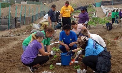 The neighbors who prepared the land and will attend the gardens worked with us.