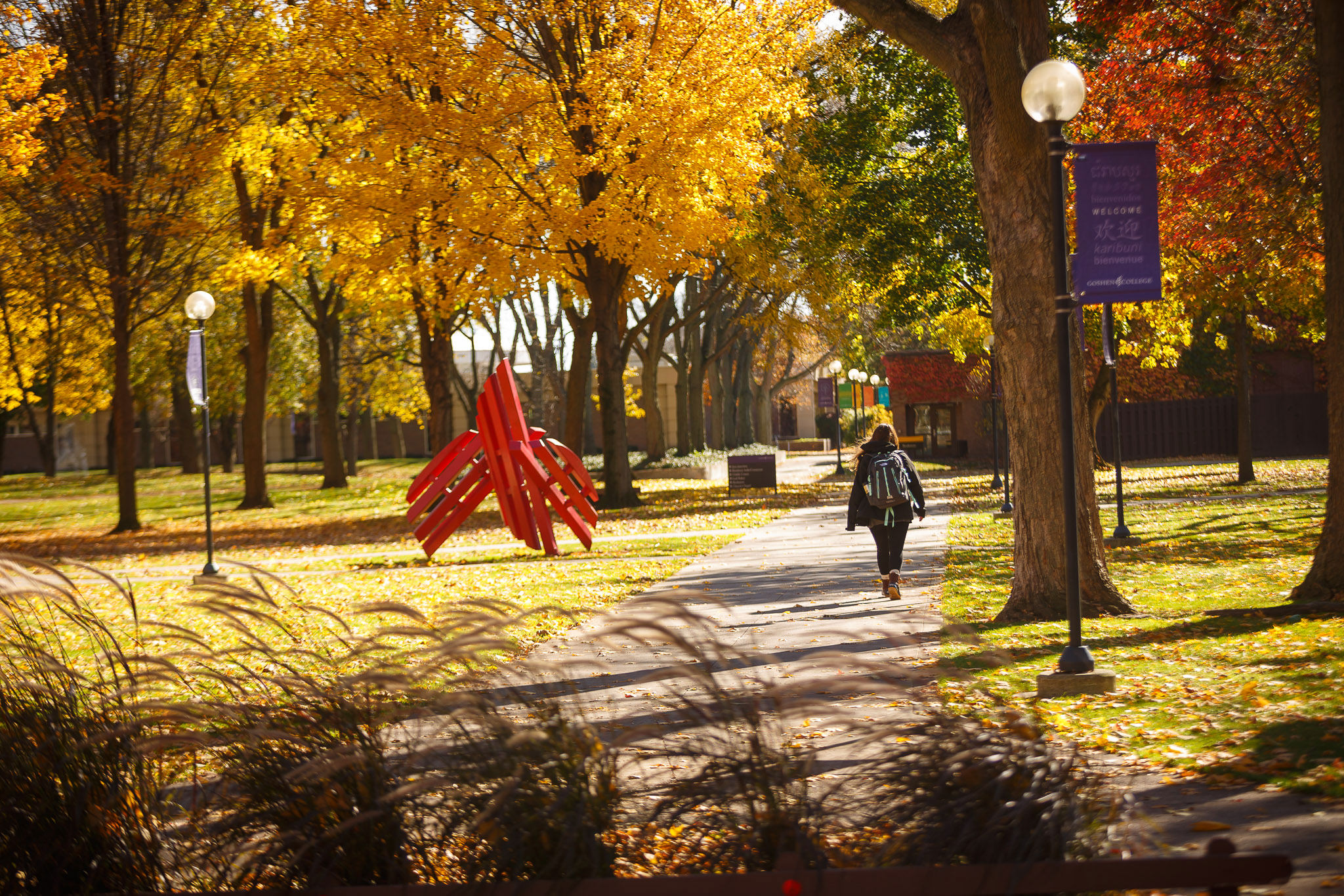 Campus scene in autumn