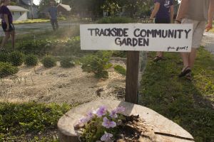 CommunityGarden10