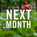 next_month