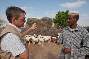 Kenya: Dairy Program