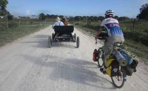 Bike_Buggy