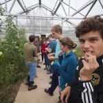 Students in a greenhouse